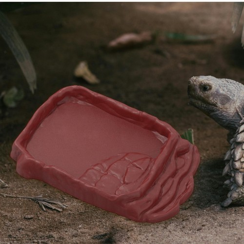 Reptile food bowl water - reptile, dish