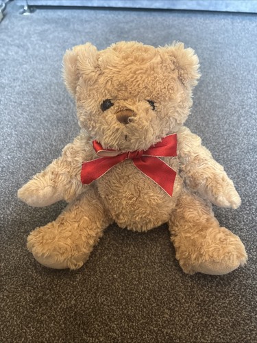 Cute plush teddy - cute, 9”