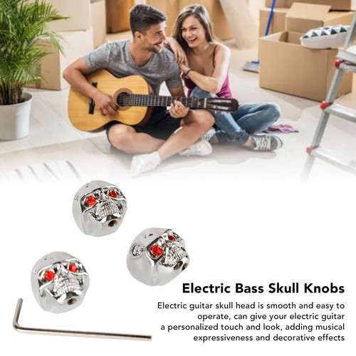 Electric guitar skull - electric,