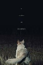 It Comes at Night DVD (2017)
