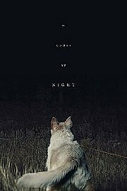 Comes night dvd - night,