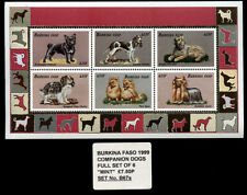 FRENCH BULLDOG  KING CHARLES