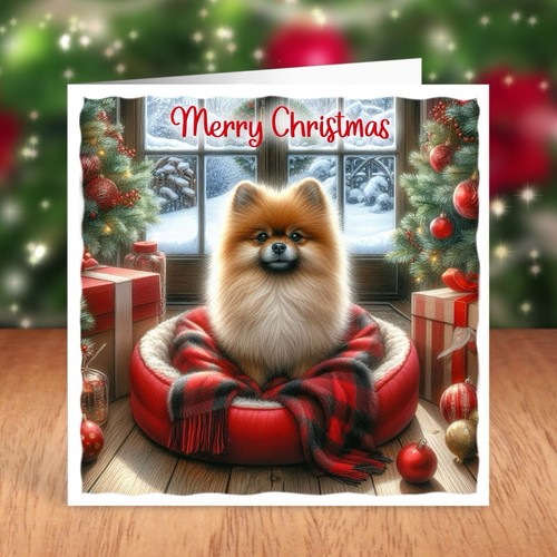 Pomeranian dog christmas card - christmas,