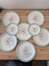 Set of 6 Large Tiger Lily