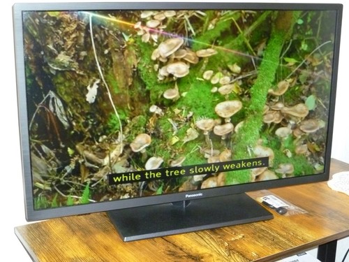 Panasonic tx 32g310b - panasonic, tv