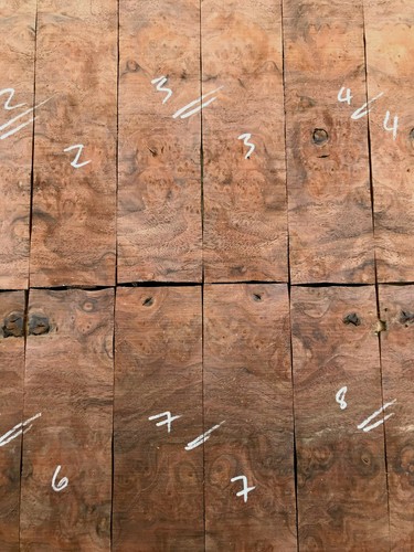 Californian claro walnut - , burr