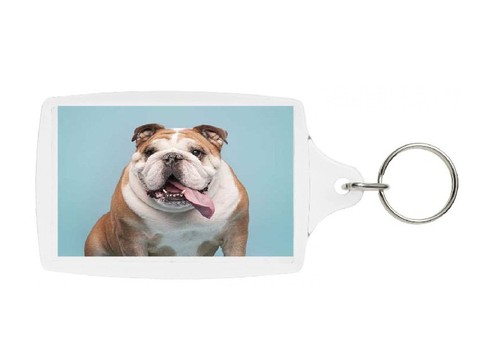 English bulldog keyring - bulldog,