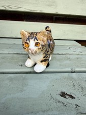 Winstanley Size 1 Tortoise