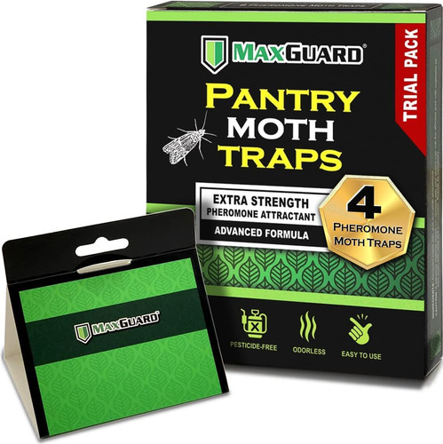 Pantry moth traps - (4,