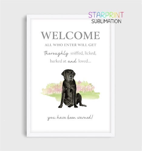 Labrador unframed a4 - (black),