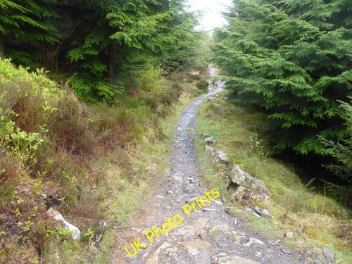 Photo 6x4 rocky - rocky, track