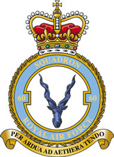RAF 60 SQUADRON BADGE ON METAL