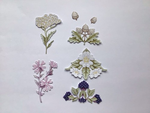 Carnation crafts woodland - carnation, wild