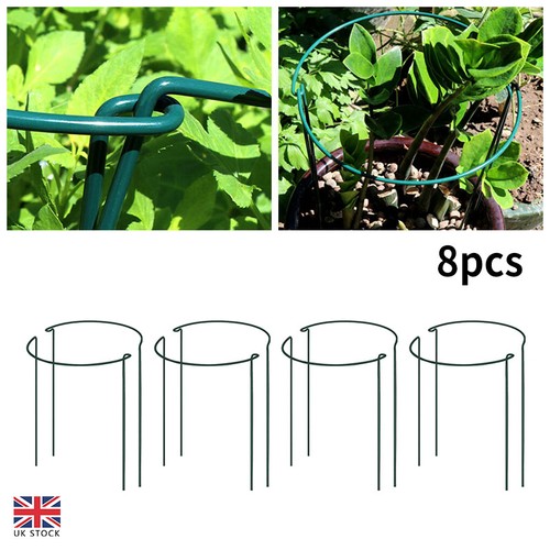 Plant support stakes stick - stakes,