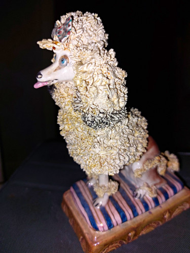Basil matthews nicole poodle - basil,