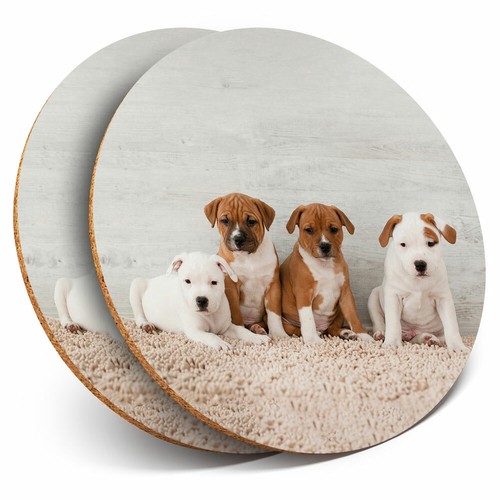 Coasters cute staffie - coasters,