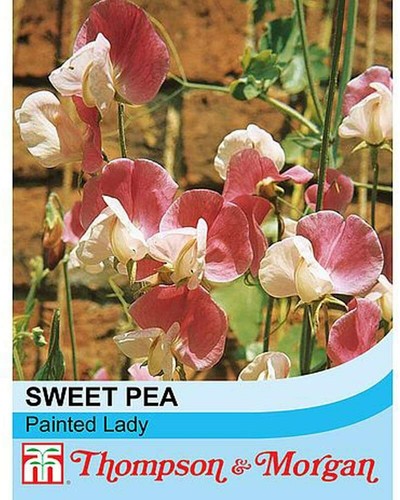 Thompson morgan sweet - &,