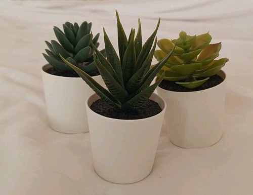 Ikea artificial succulent - artificial,