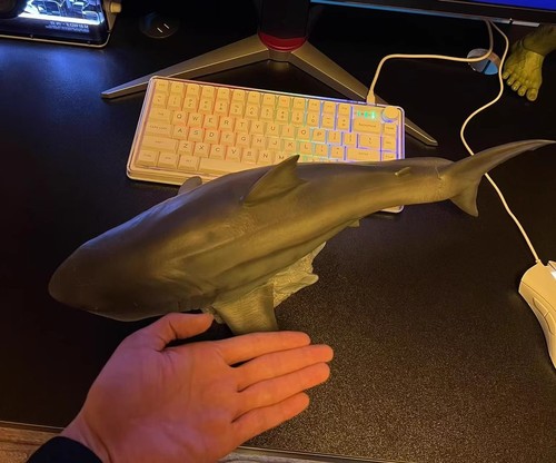 Dragon 35 megalodon - w-dragon, 1/35