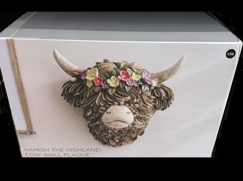 Next natural hamish the - next,