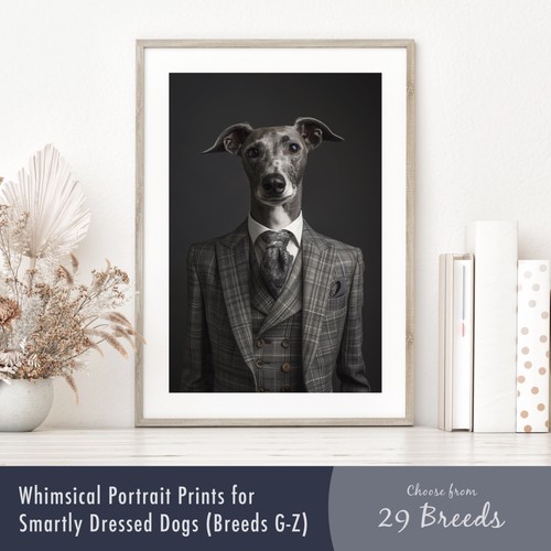 Smartly dressed dog portrait - dog,