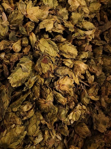 Hops cones loose - herbal, tea