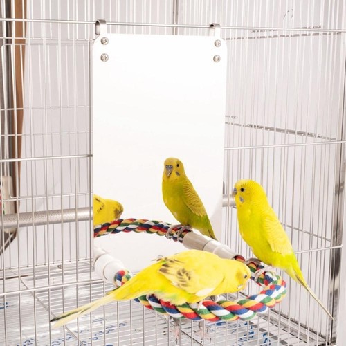 Acrylic bird mirror - mirror, perch