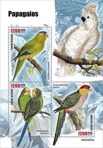 Parrots tropical birds - parrots, bird