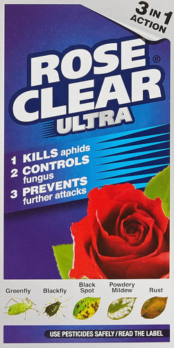 Roseclear ultra plant - roseclear,