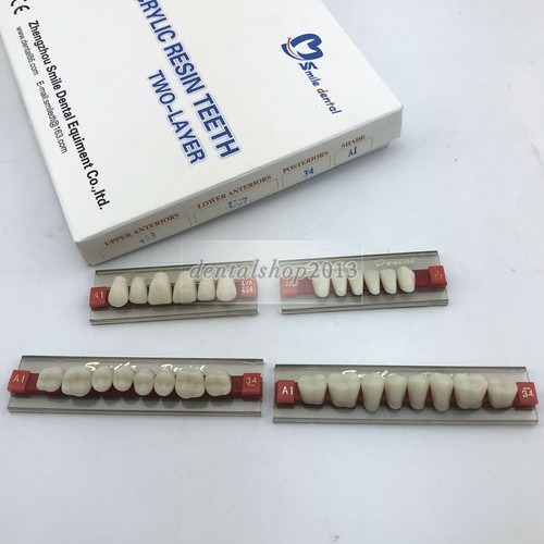 28pcs upper lower dental - 28pcs,