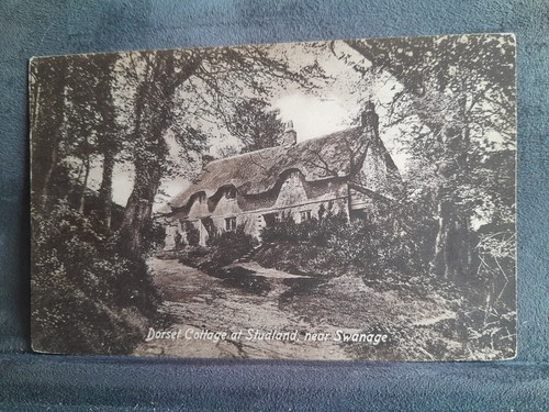 Studland dorset cottage 34995 - studland,