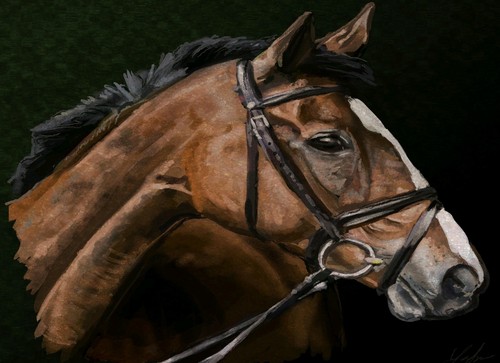 Kauto star iconic racing - iconic, horse