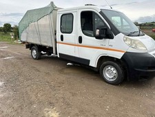 Citroen relay tipper with arb box px swap new mot ,px tipping caged trailer ,