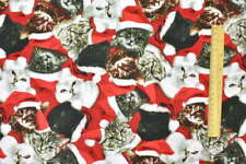 Cats Kittens In Christmas Stockings 100% Cotton Fabric 1/2 Metre
