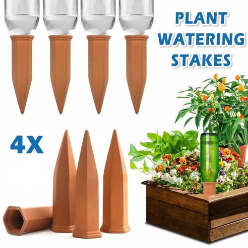 Pack terracotta plant - 4,