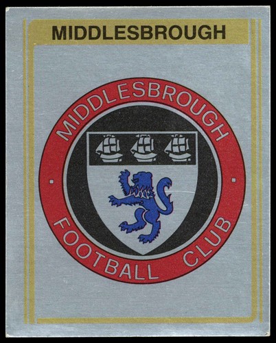 Panini football badge - 'football,