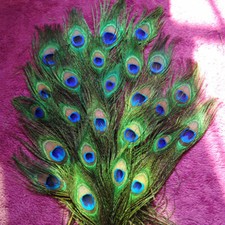 10Pc Craft Natural Peacock