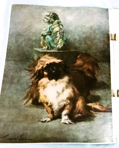 Pekingese art plate - by, maud