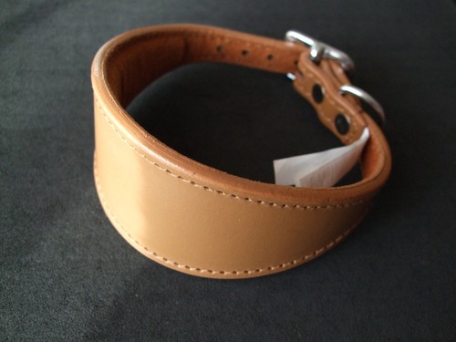 Leather dog collar for - dog, small