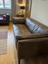 John lewis halo - lewis, medium