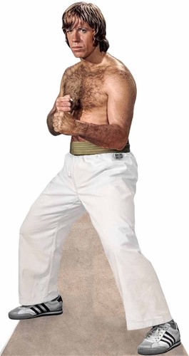 Chuck norris the way - of,