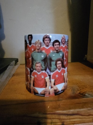 Nottingham forest european cup - nottingham,