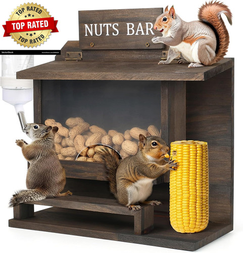 Squirrel feeders for outside - squirrel,