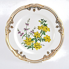 Spode Stafford Flowers