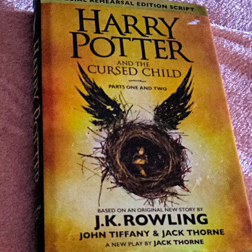 Harry potter and the - potter,