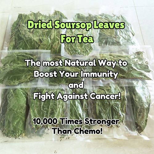 Dried soursop leaves - soursop,