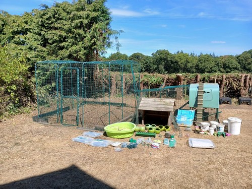 Omlet eglu chicken coop with - chicken,