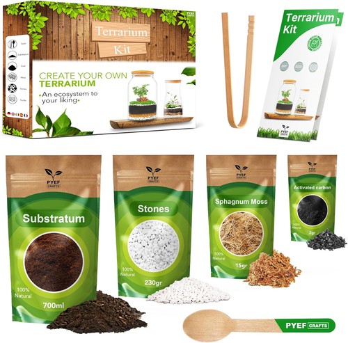 Diy terrarium kit for plants - terrarium,