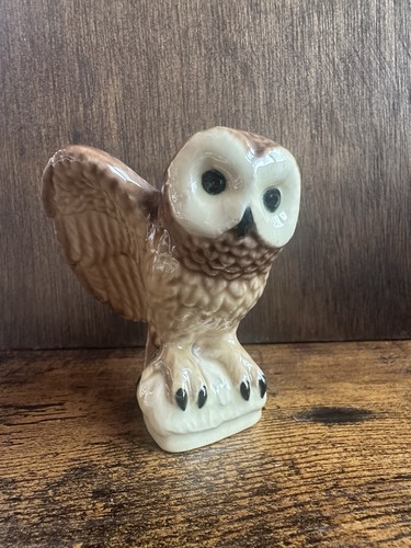 Little china owl - little, with