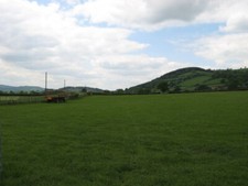 Photo 6x4 Pasture Land